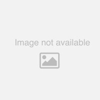 4 POLE, MOLDED SWITCH CIRCUIT BREAKER